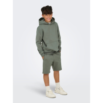 ONLY & SONS Shorts Ceres Castor Gray